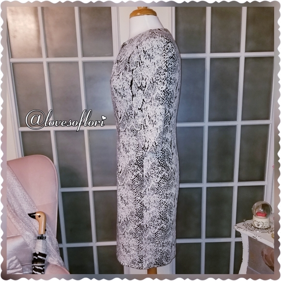 Marvin Richards Reptile - Picture 4 of 6